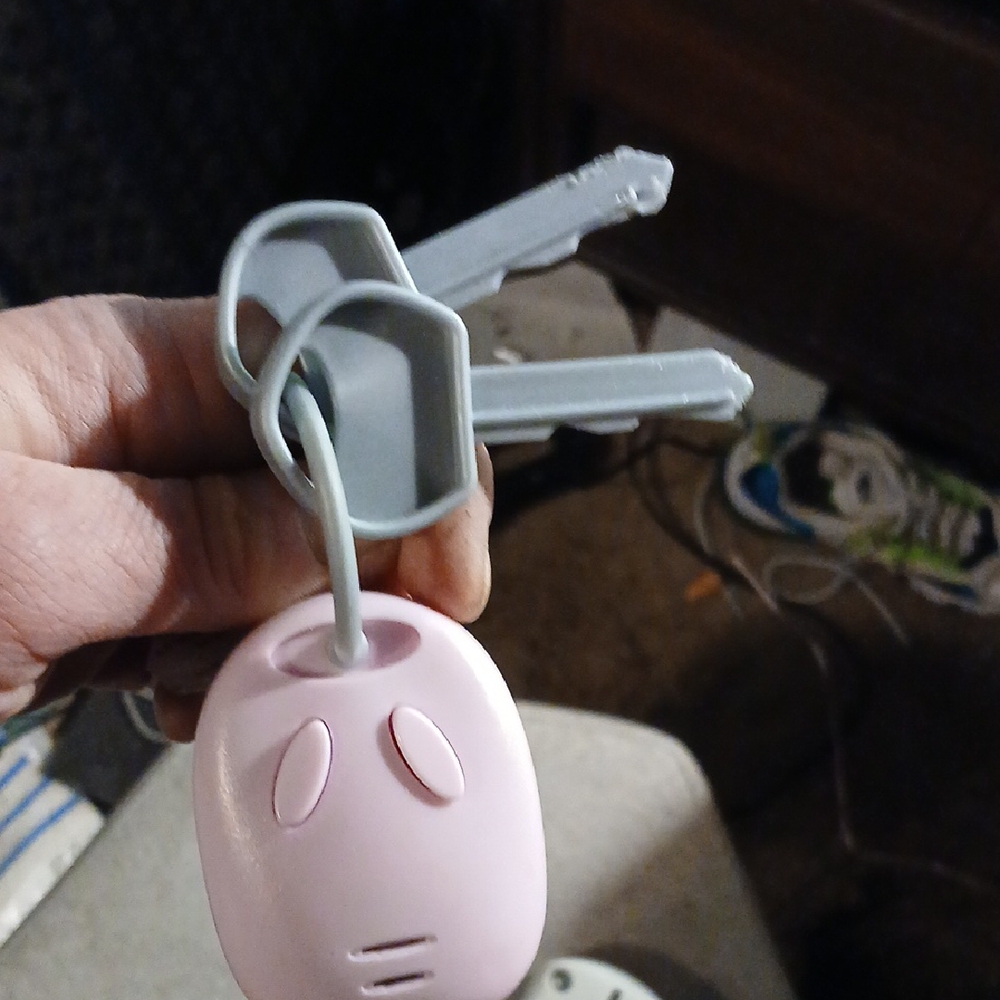 Interactive Puppy Remote and Key Set - Picture 4 of 7